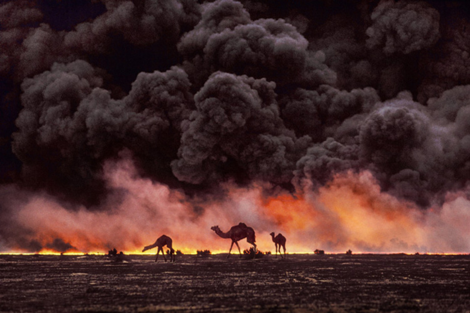 Steve McCurry: Camel and Oil Fields Kuwait, 1991 Signed, titled, dated and numbered on verso C-print 50 x 60 cm // 76 x 101 cm // 101 x 152 cm Editioned