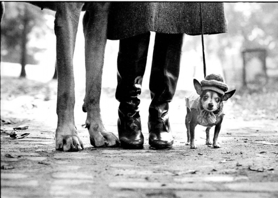 Elliott Erwitt New York City 1974 Signed, titled and dated on verso Gelatin silver print, printed later