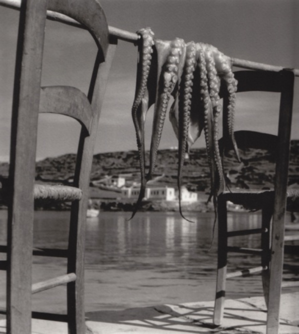 Herbert List Octopus Corfu Greece, 1938 Gelatin Silver Print Titled, dated and Estate stamp on verso 40 x 30 cm