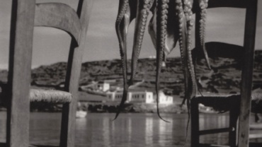 Herbert List Octopus Corfu Greece, 1938 Gelatin Silver Print Titled, dated and Estate stamp on verso 40 x 30 cm