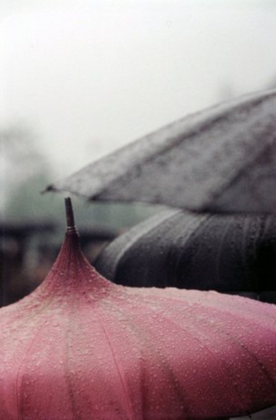 Saul Leiter Untitled (Pink umbrella close up) 1958 Chromogenic Print, printed later Signed on verso 50 x 40 cm Ed. 10