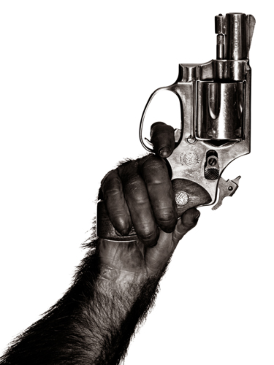 Albert Watson: Monkey with Gun New York City, 1992 Artist label on verso Archival pigment print 76 x 61 cm Ed. 25