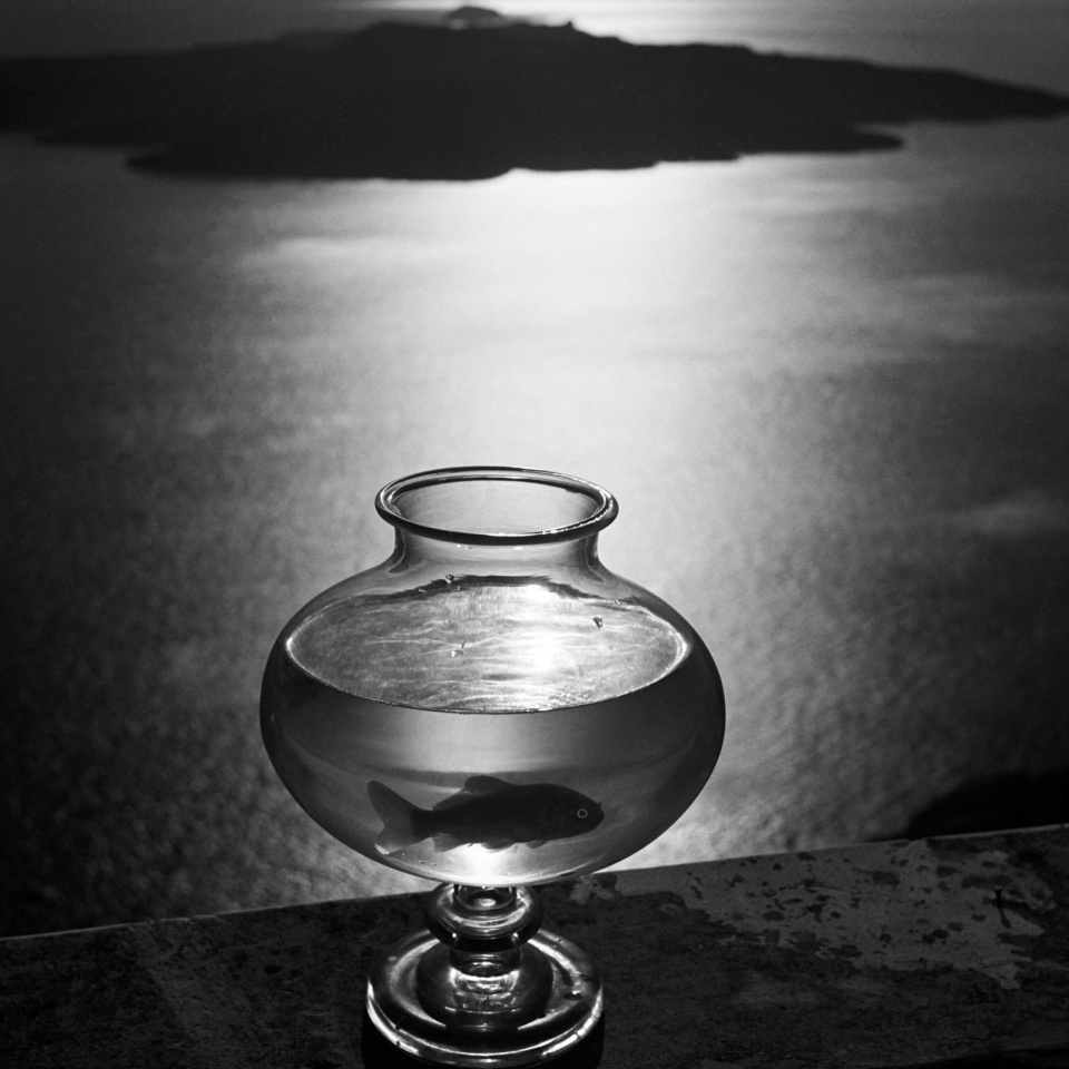 Herbert List. Goldfischglas. Santorin. Griechenland. 1937