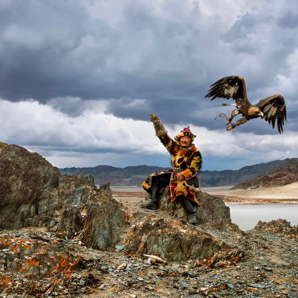 Steve McCurry. Man Hunts with Eagle, Mongolia, 2018
